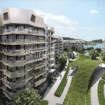 Corals at Keppel Bay